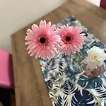 Hotel apartamentowy Pifferi 4*
