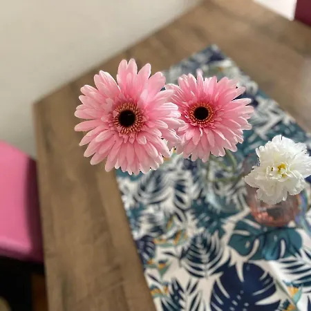 Apart Otel Pifferi 4*